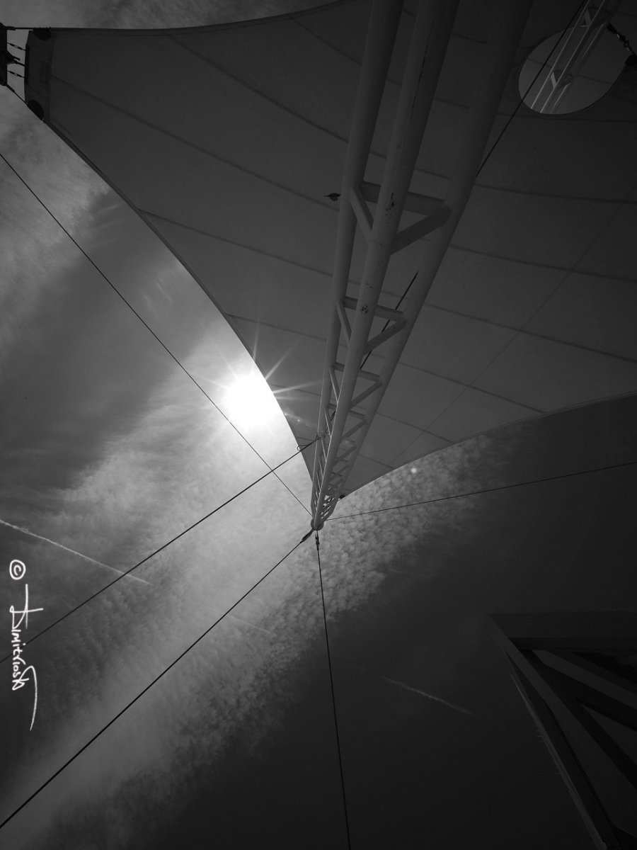 P5170126 copy_WM.jpg P5170126 copy_WM.jpg