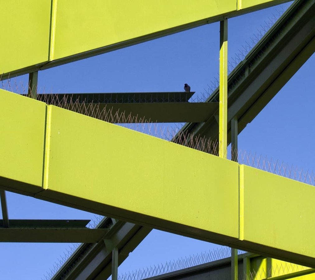 instagram_0_20250517_212449.jpg instagram_0_20250517_212449.jpg