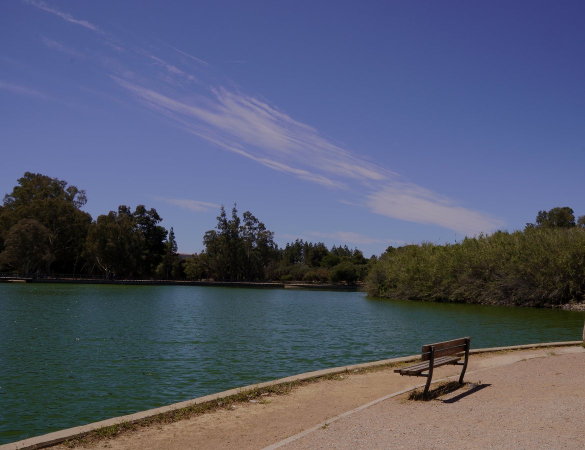 View DSC03878.JPG View DSC03878.JPG