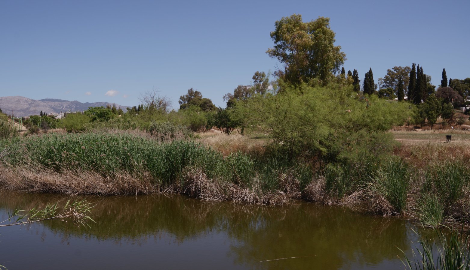 view 001DSC03886.JPG view 001DSC03886.JPG