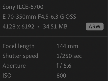 Screenshot 2025-07-18 at 00.25.57.png