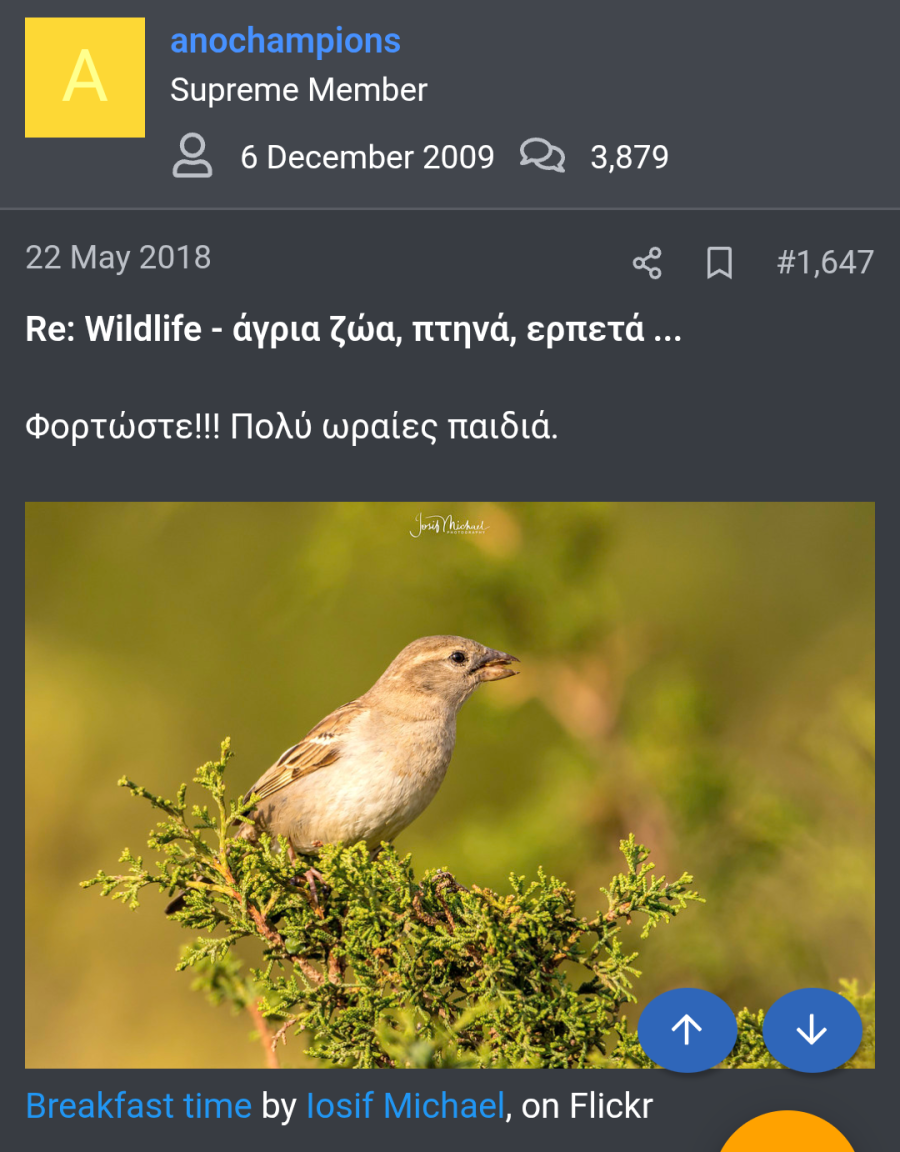 Screenshot_20250720-003823~2.png Screenshot_20250720-003823~2.png