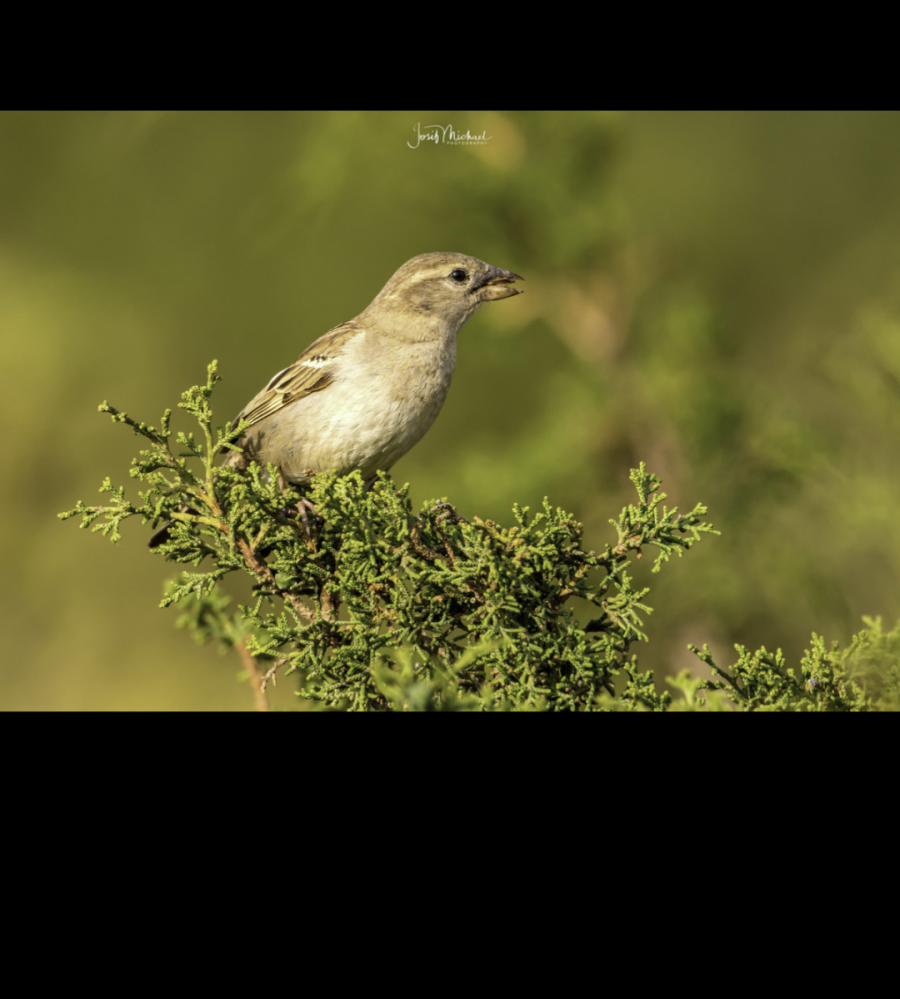 Screenshot_20250720-003827~2.png Screenshot_20250720-003827~2.png