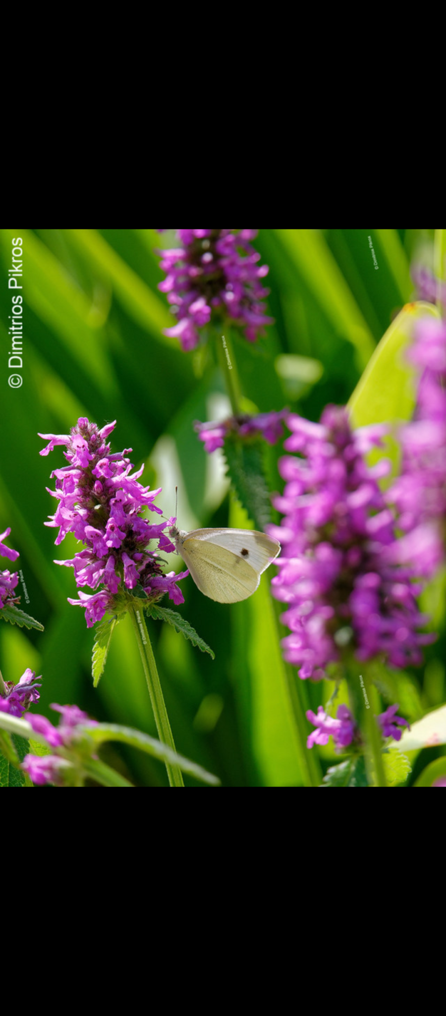 Screenshot_20250720-003801.png Screenshot_20250720-003801.png