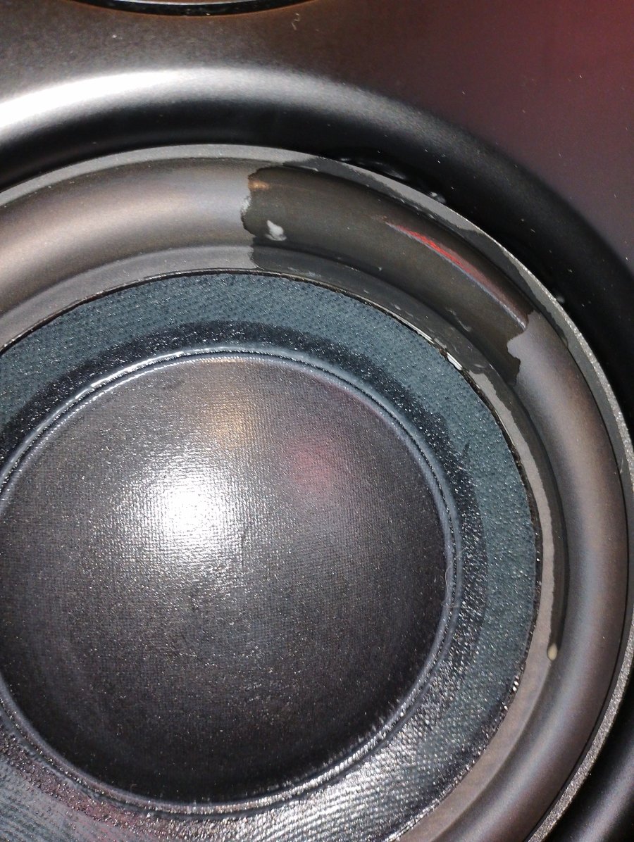 IMG_20250720_184648.jpg IMG_20250720_184648.jpg