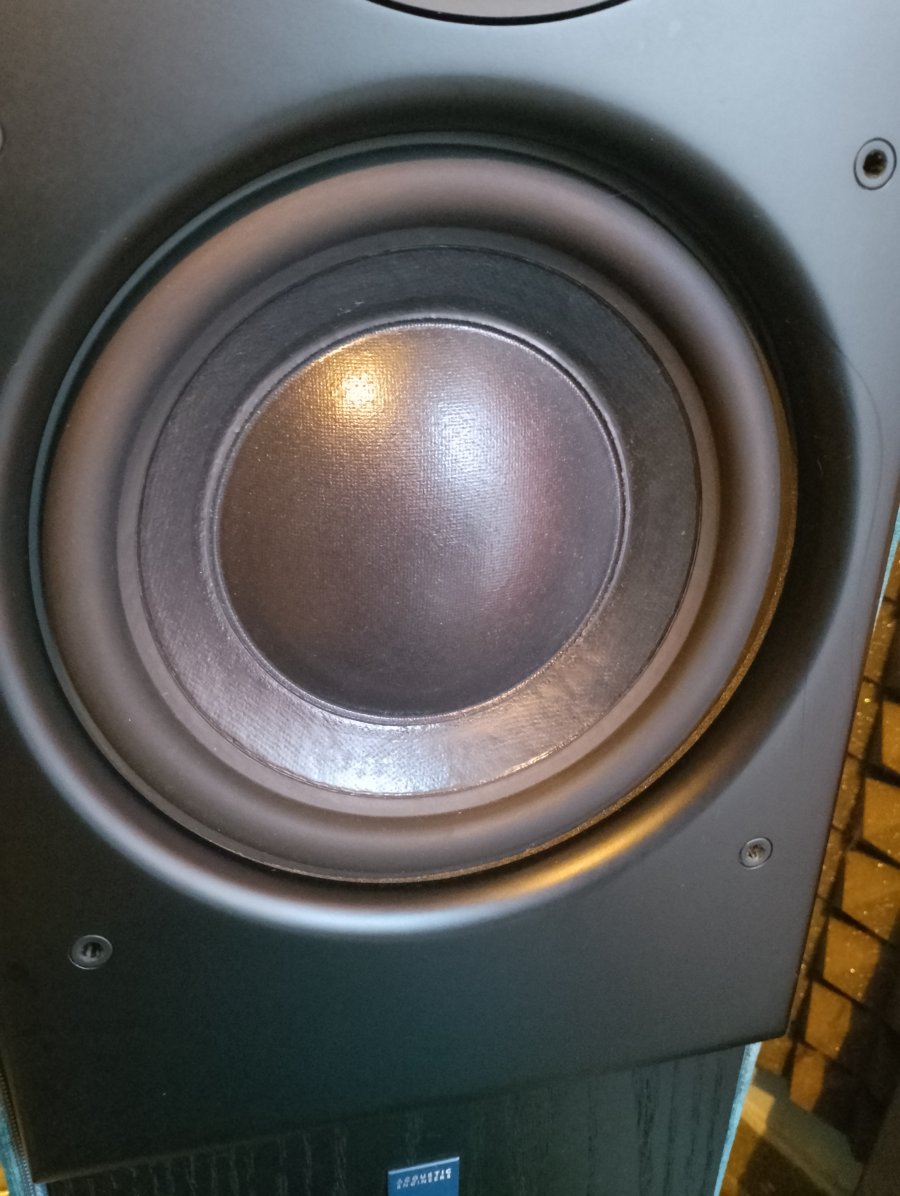 IMG_20250720_190408.jpg IMG_20250720_190408.jpg