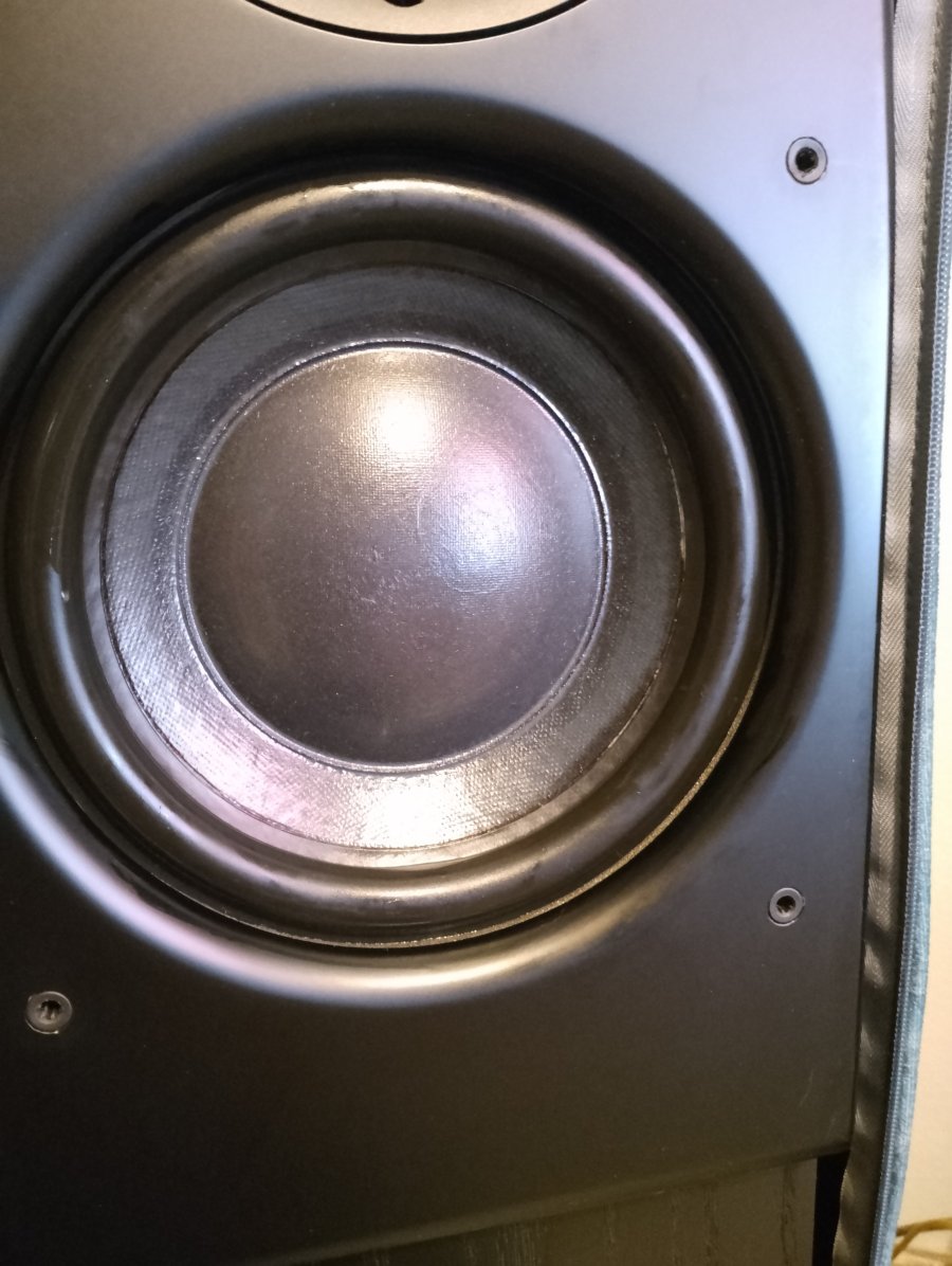 IMG_20250720_185633.jpg IMG_20250720_185633.jpg