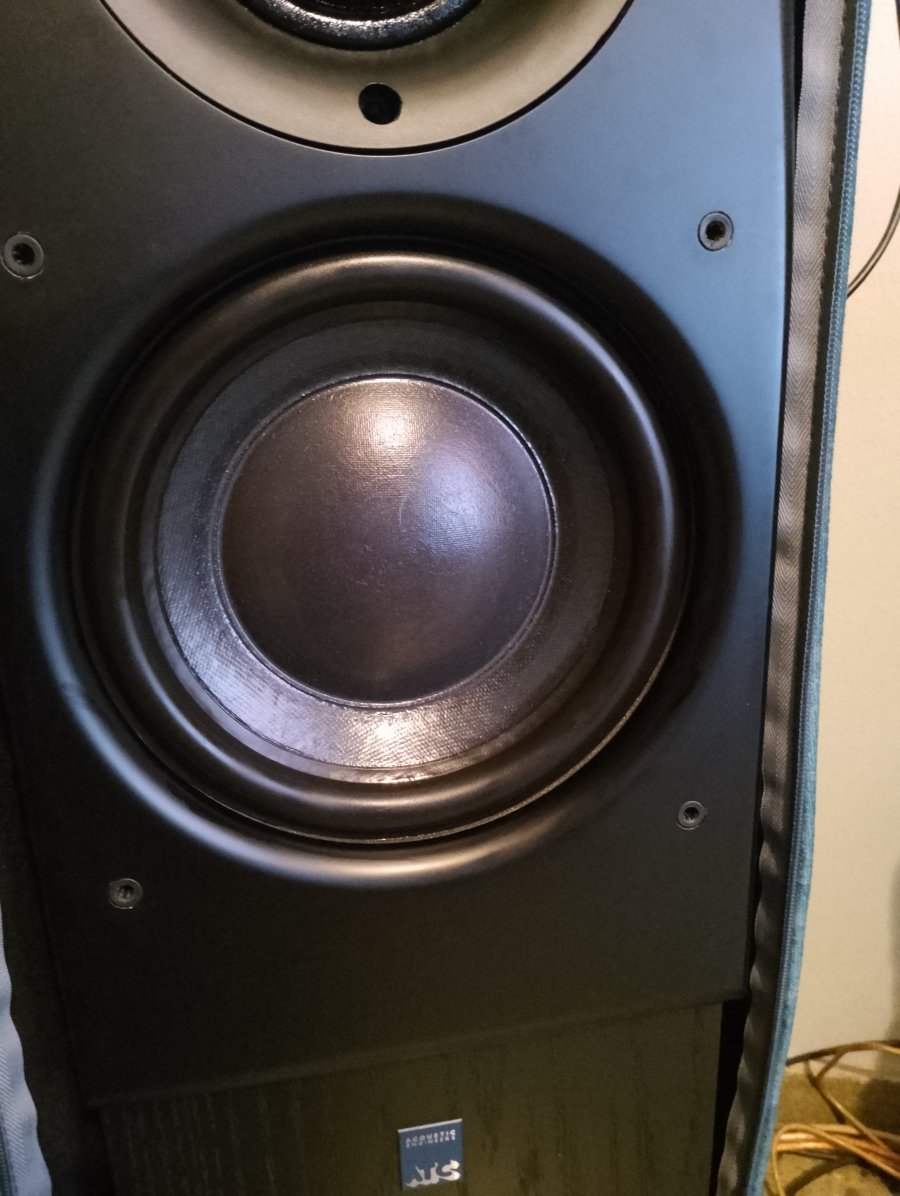 IMG_20250720_191424.jpg IMG_20250720_191424.jpg