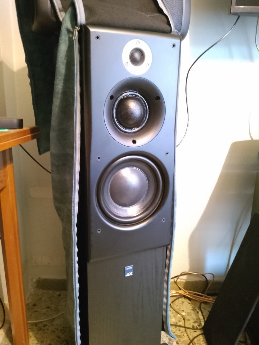 IMG_20250720_193109.jpg IMG_20250720_193109.jpg