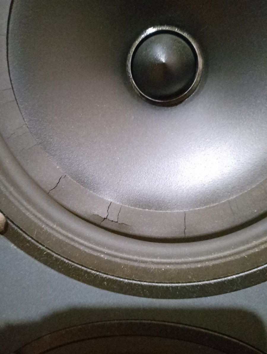 IMG_20250216_185625.jpg IMG_20250216_185625.jpg