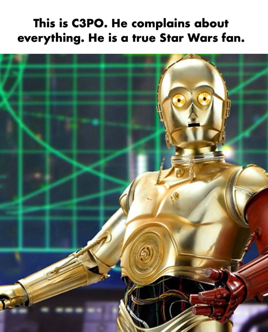 518984217_1277675847532731_2730195078075683238_n.jpg