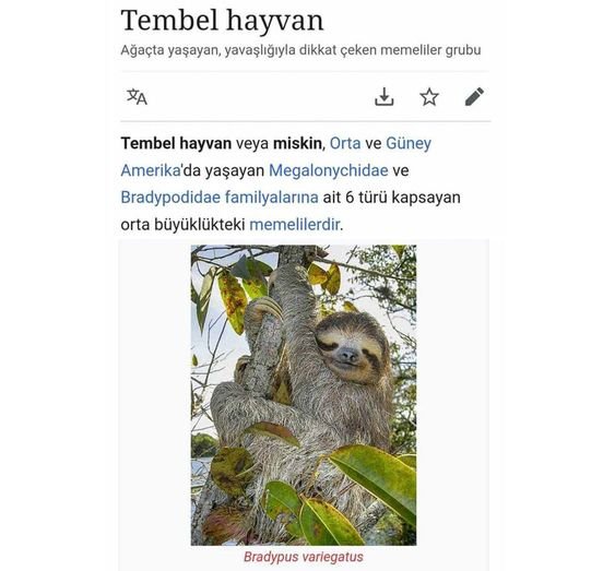 πως λένε τον βραδύποδα στα Τουρκικά.jpg