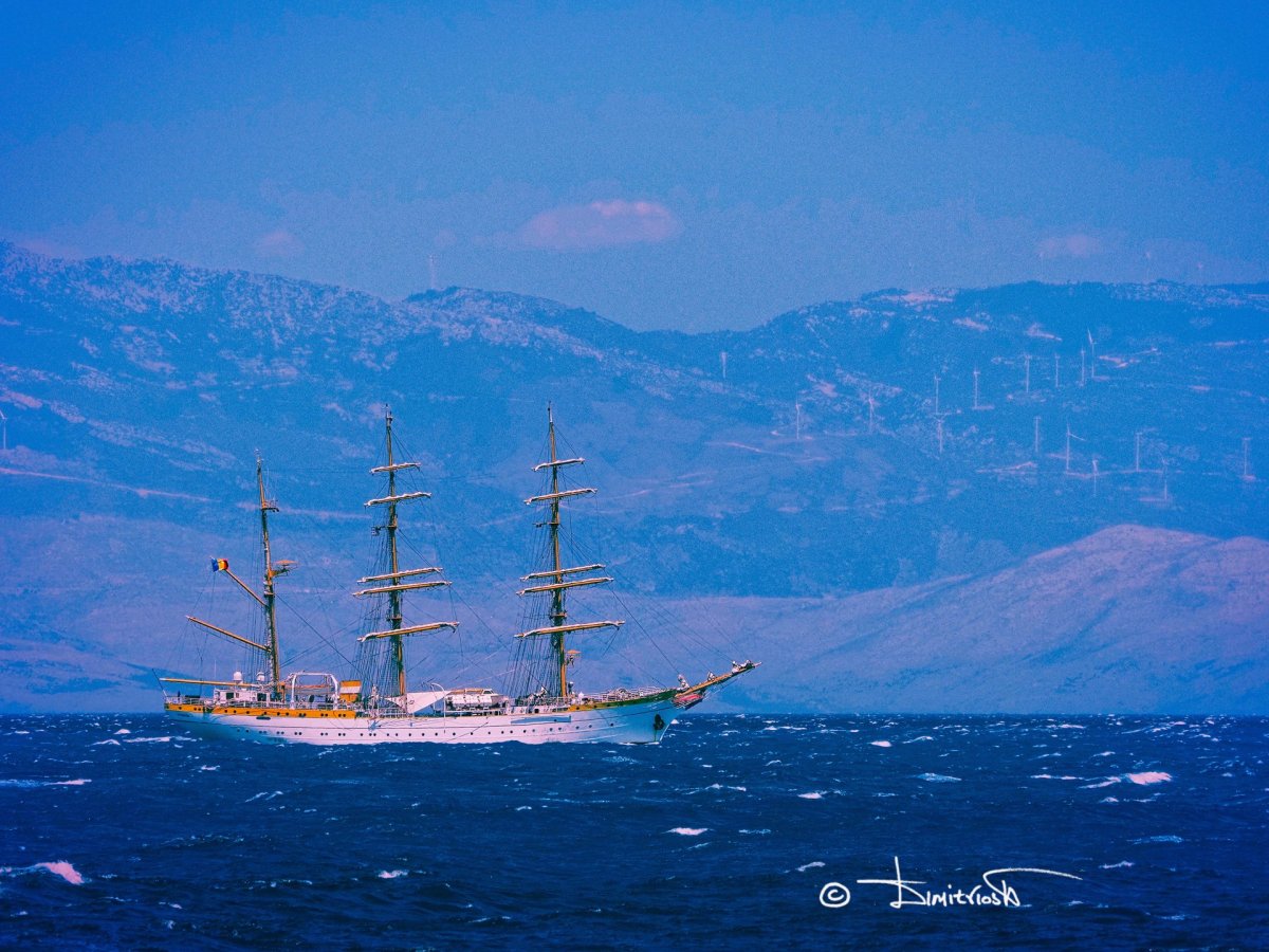 P7290171_DxO copy_WM.jpg