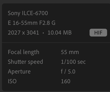 Screenshot 2025-07-30 at 20.23.17.png