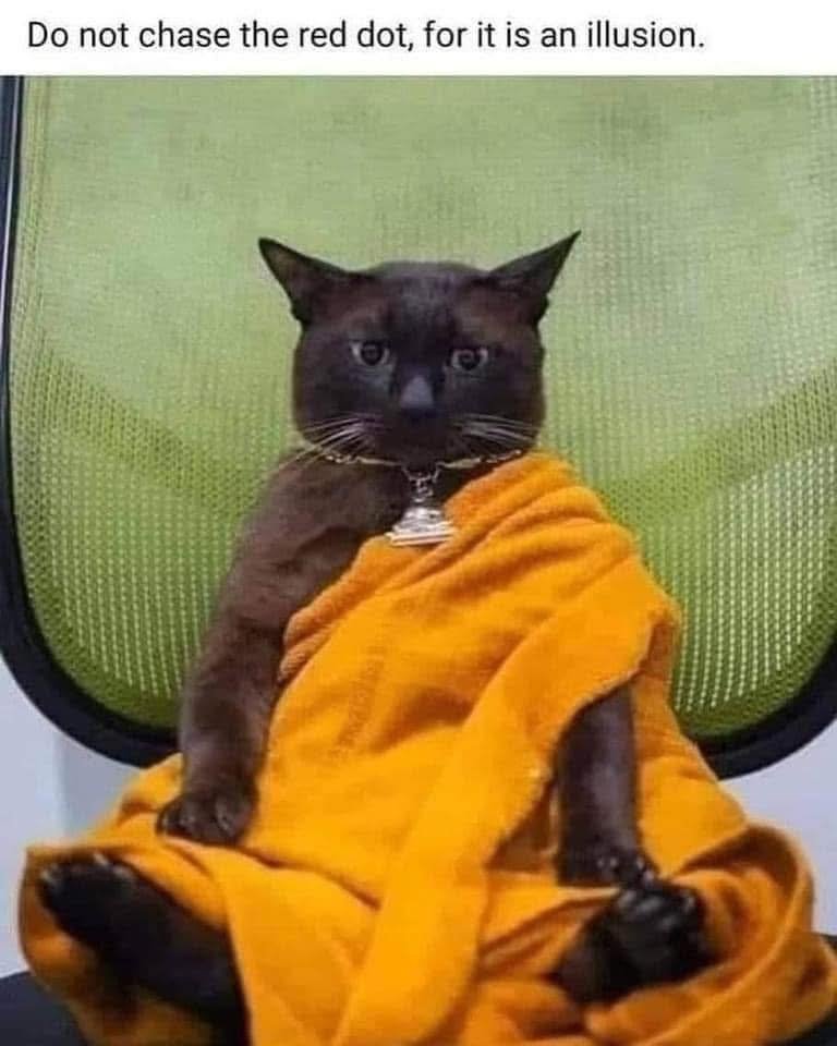 That was zen, this is meow!.jpg