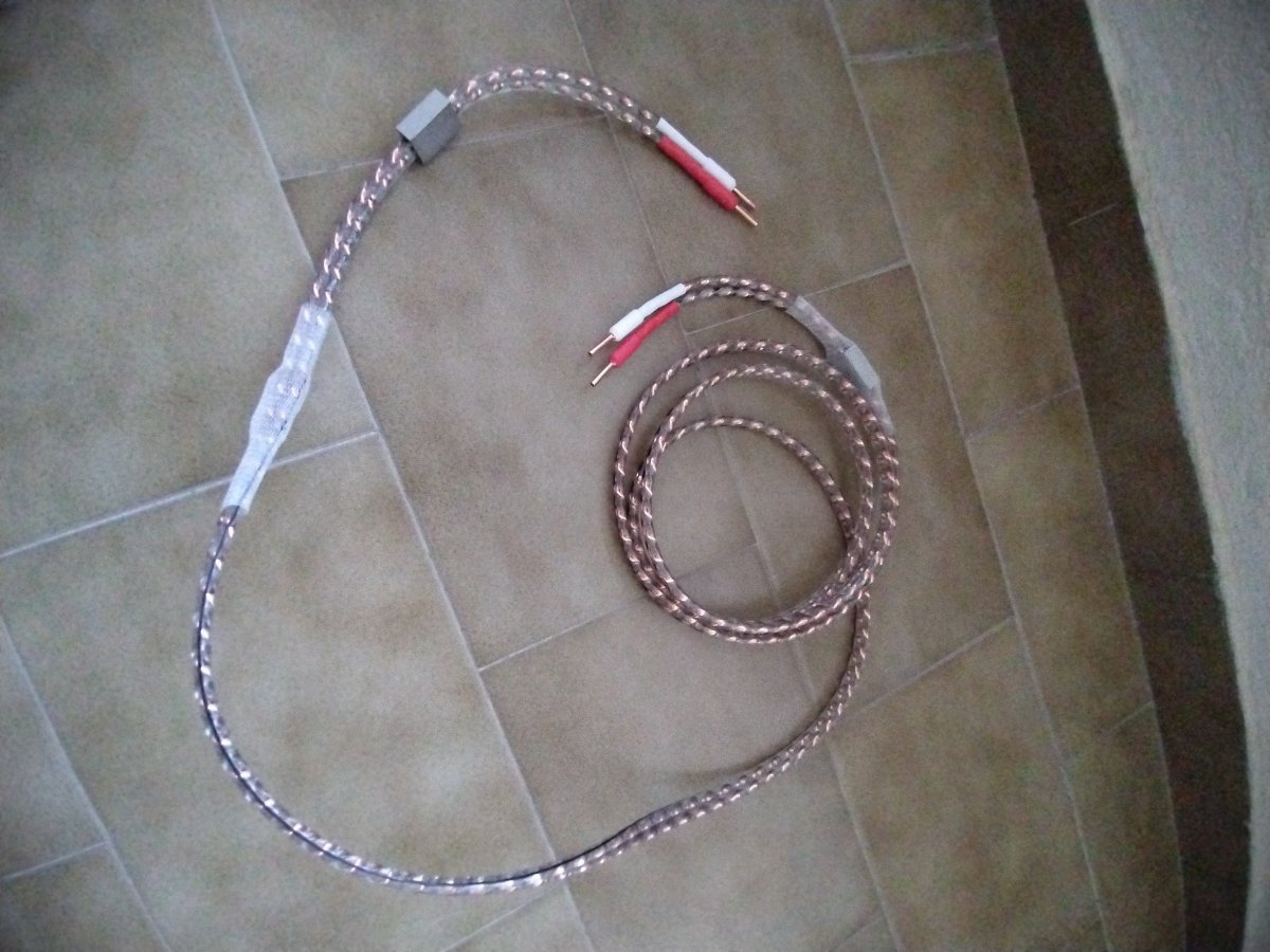 PXL_20250804_203153676.jpg