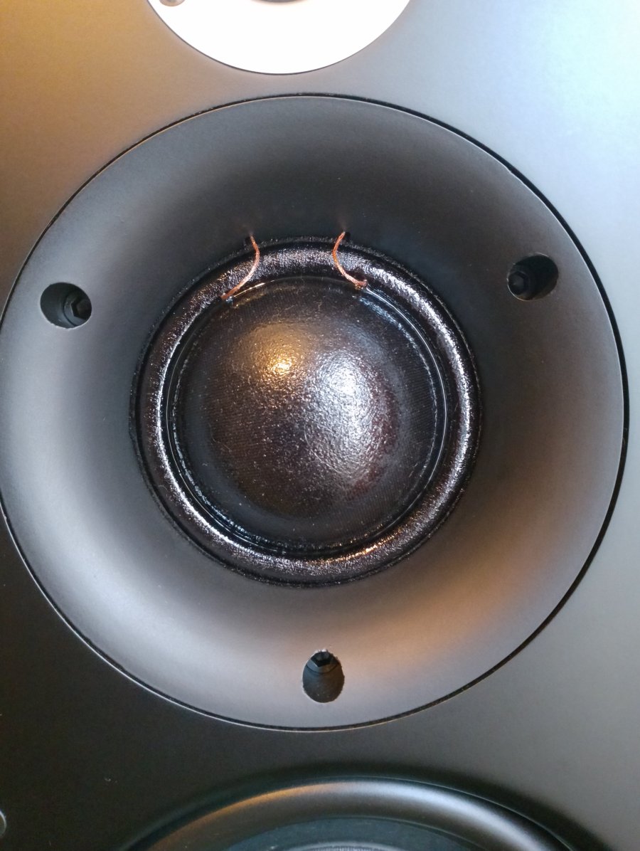 IMG_20250805_150335.jpg IMG_20250805_150335.jpg