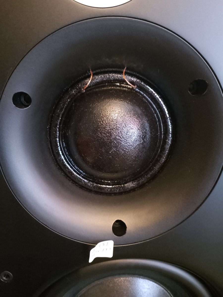 IMG_20250805_153334.jpg IMG_20250805_153334.jpg