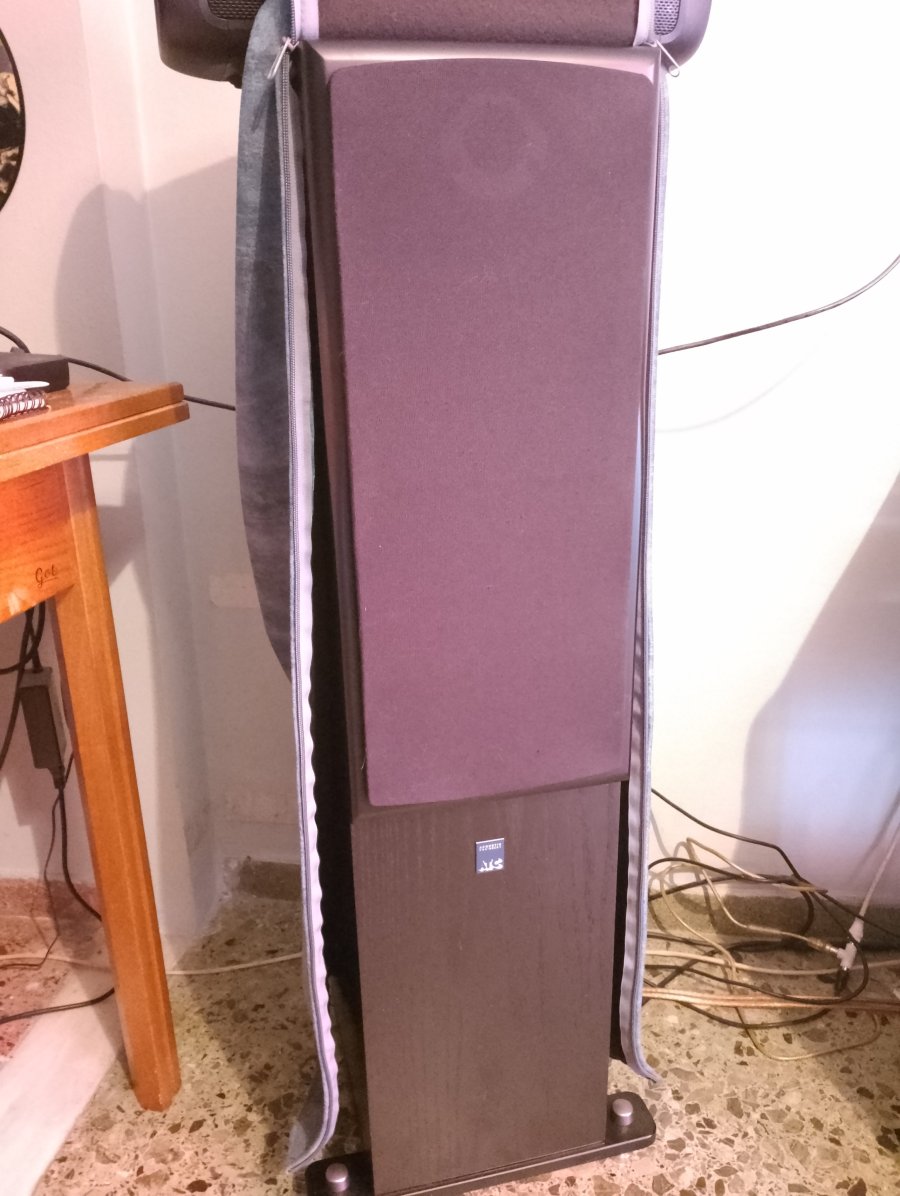 IMG_20250805_181853.jpg IMG_20250805_181853.jpg