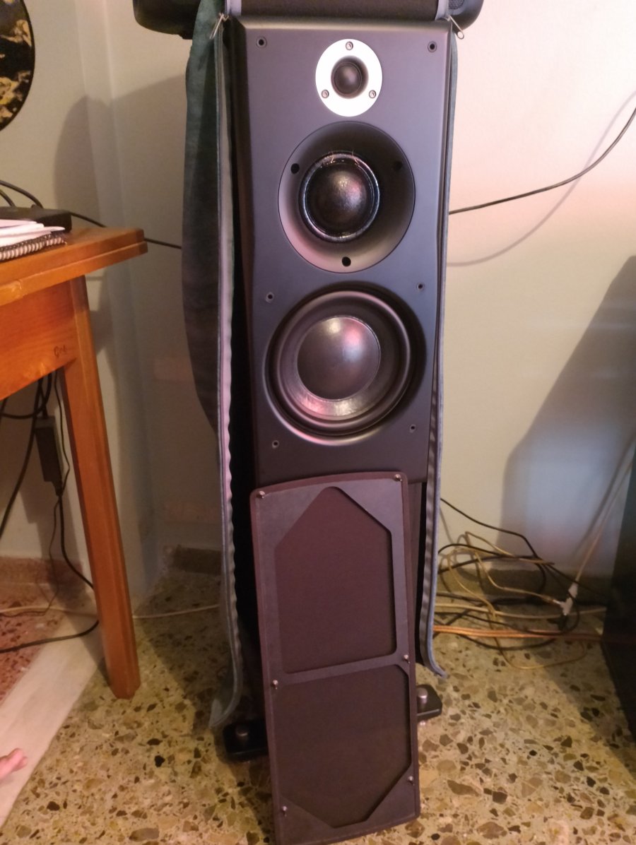 IMG_20250805_181925.jpg IMG_20250805_181925.jpg