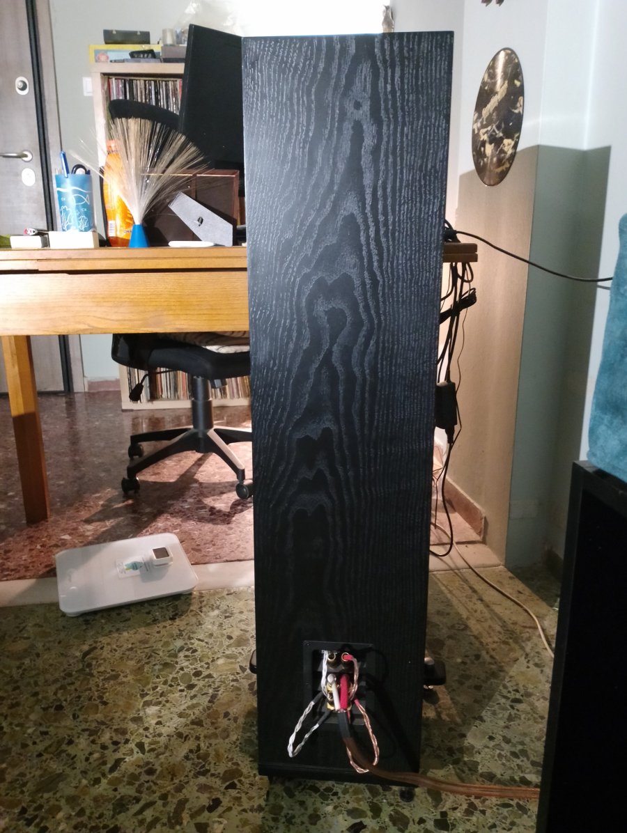 IMG_20250805_205702.jpg IMG_20250805_205702.jpg