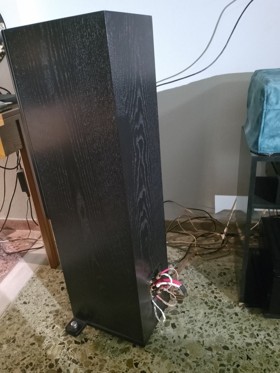 IMG_20250805_205721.jpg IMG_20250805_205721.jpg