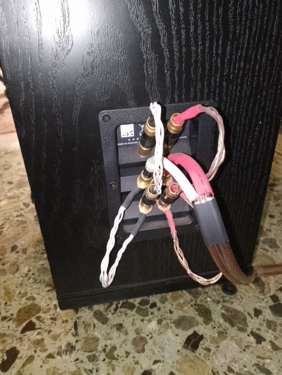 IMG_20250805_205743.jpg IMG_20250805_205743.jpg