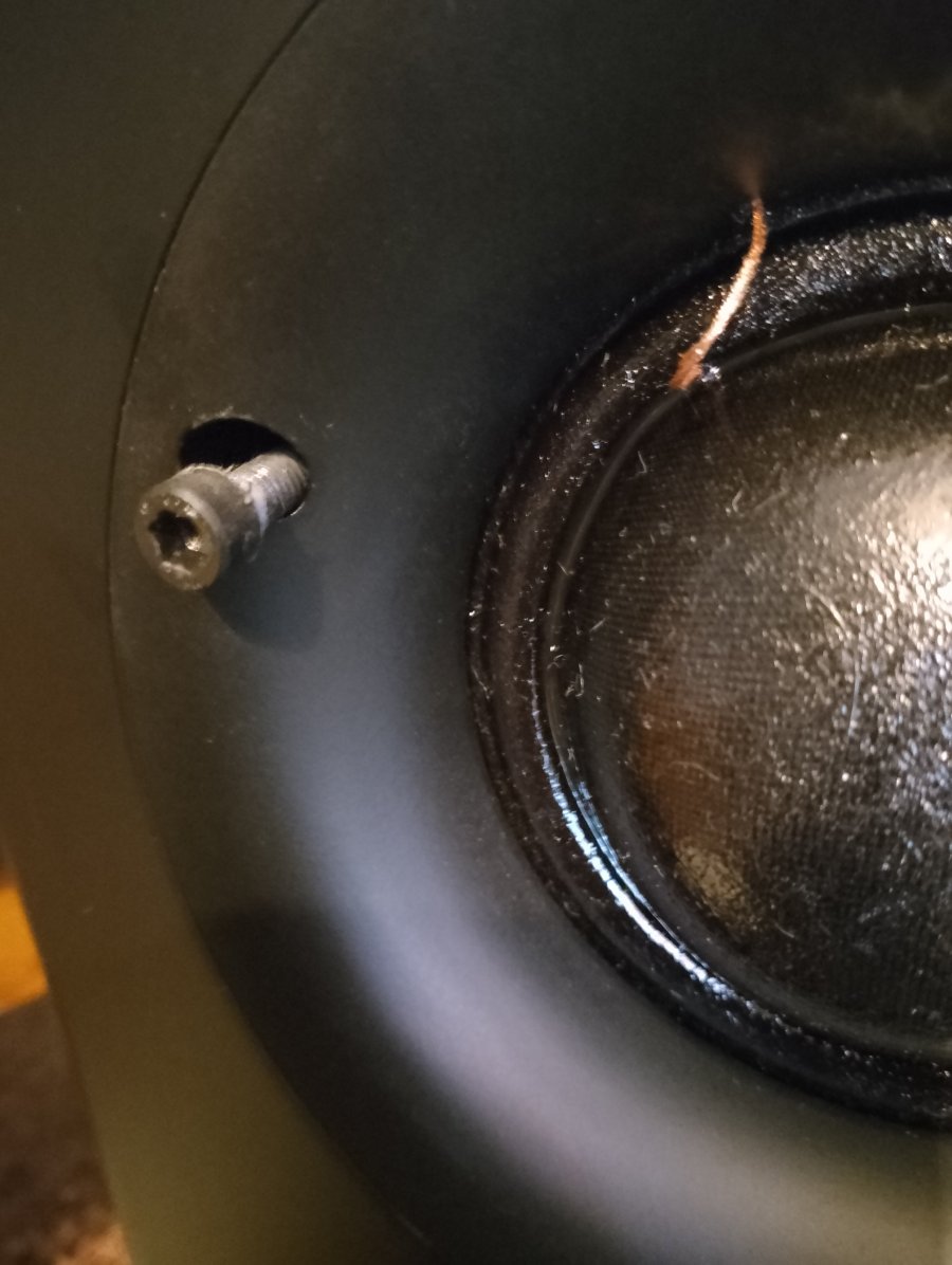 IMG_20250808_185722.jpg IMG_20250808_185722.jpg