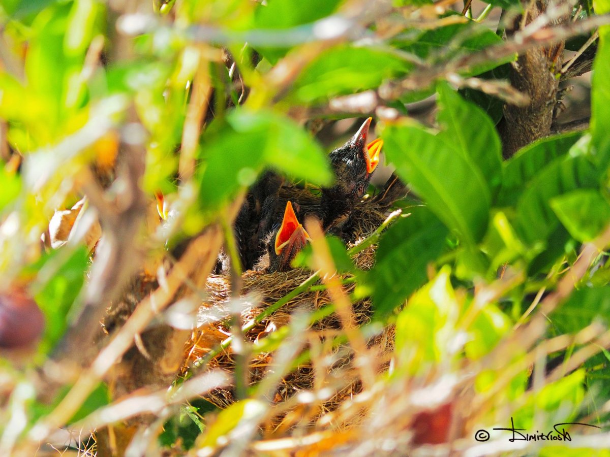 P7220007_DxO copy_WM.jpg