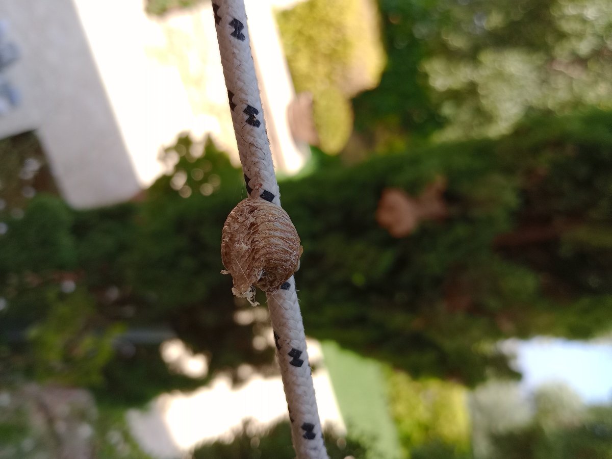 IMG_20250812_135547122.jpg IMG_20250812_135547122.jpg