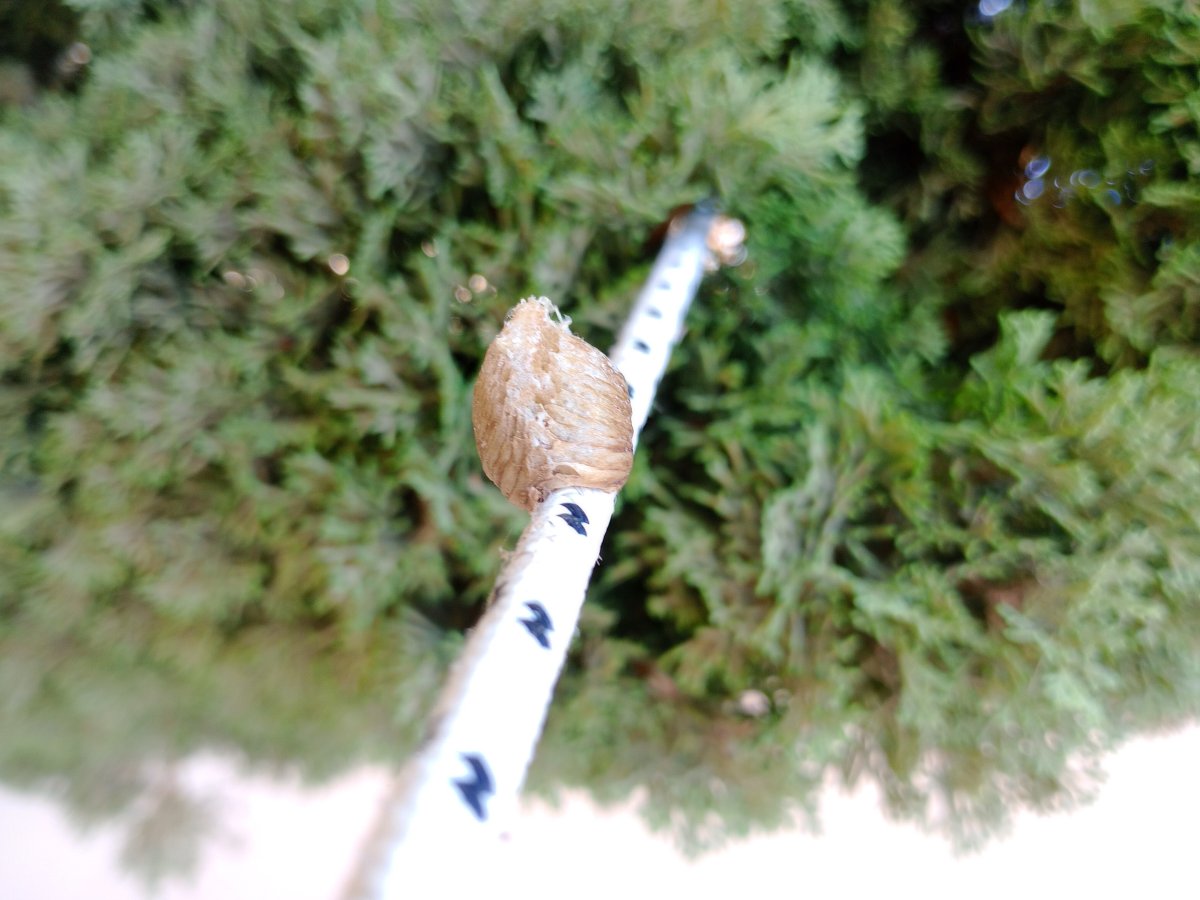 IMG_20250812_140000701.jpg IMG_20250812_140000701.jpg