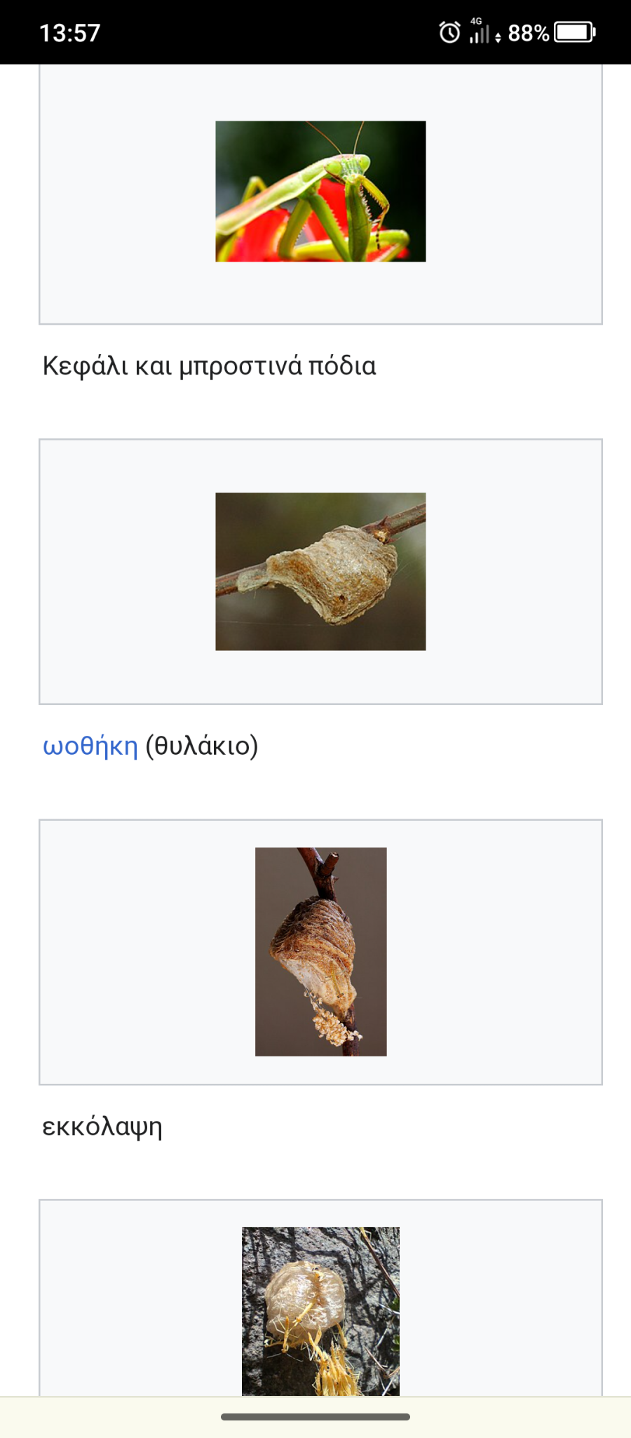 Screenshot_20250812-135752.png Screenshot_20250812-135752.png