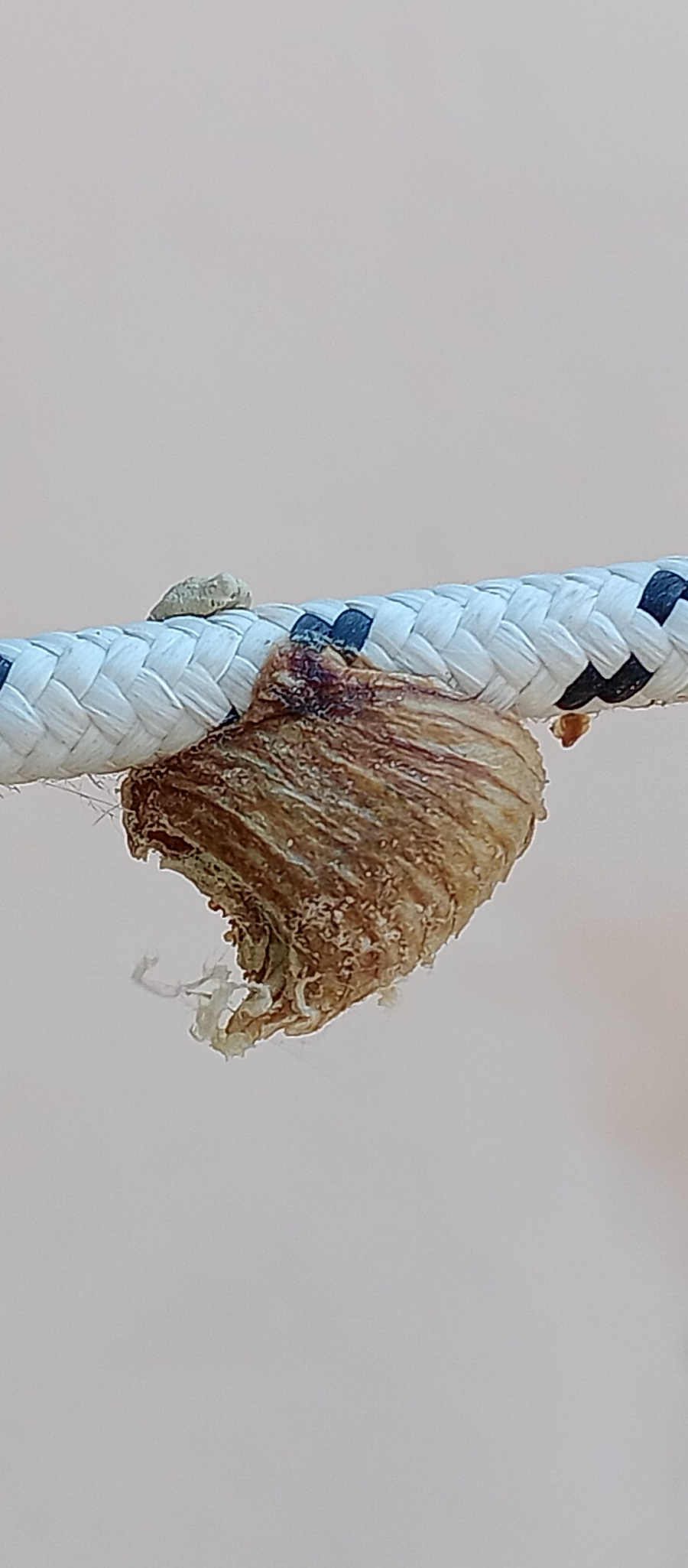 Screenshot_20250812-194225.png Screenshot_20250812-194225.png