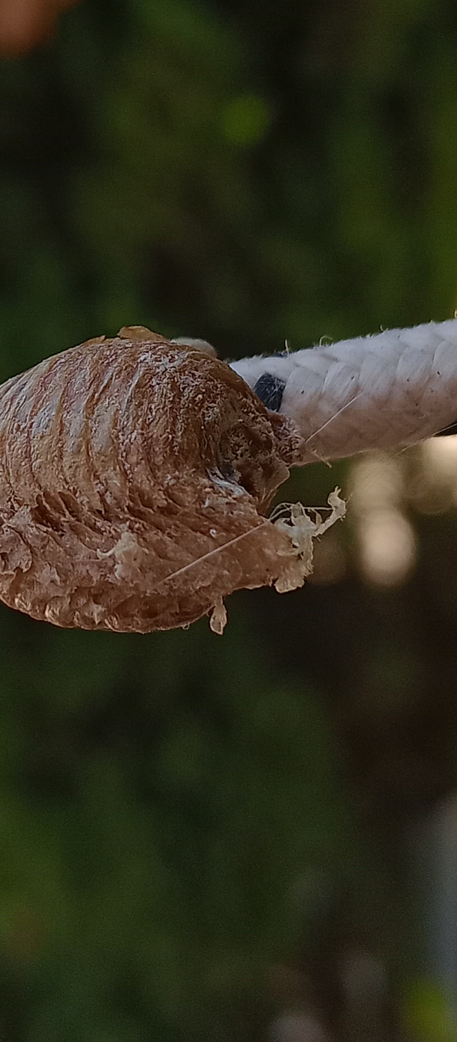 Screenshot_20250812-194243.png Screenshot_20250812-194243.png