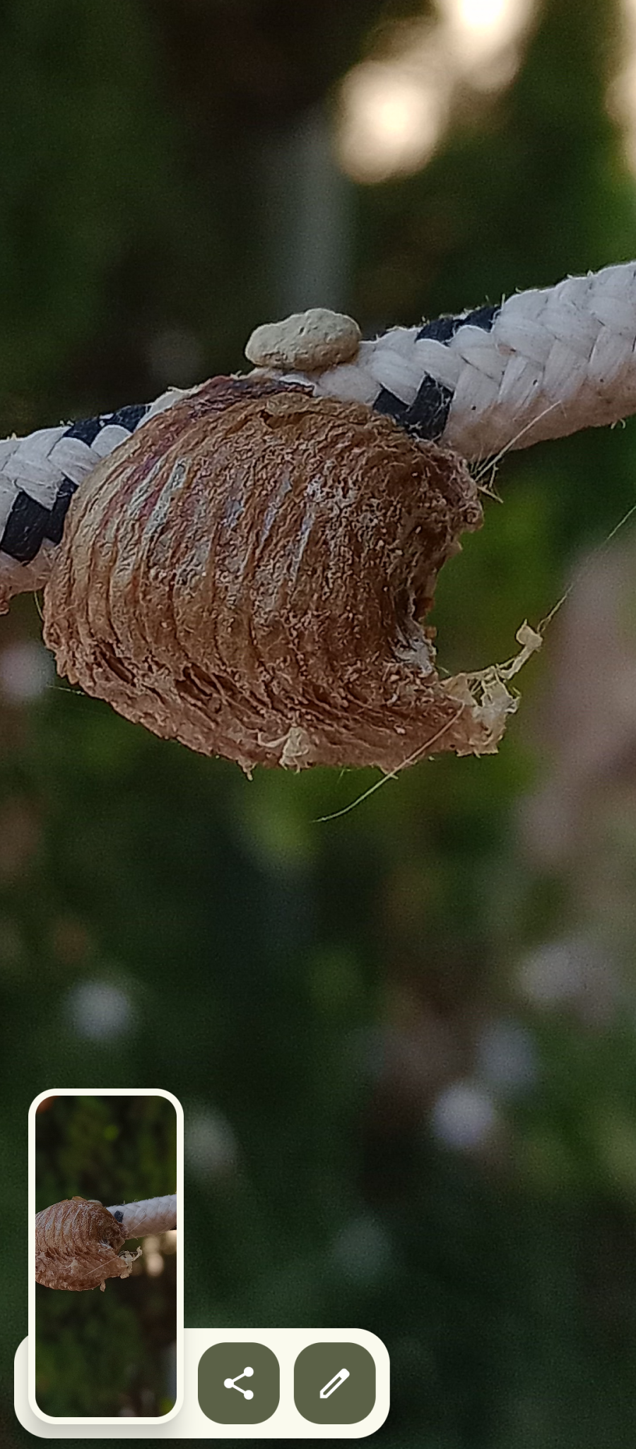 Screenshot_20250812-194250.png Screenshot_20250812-194250.png