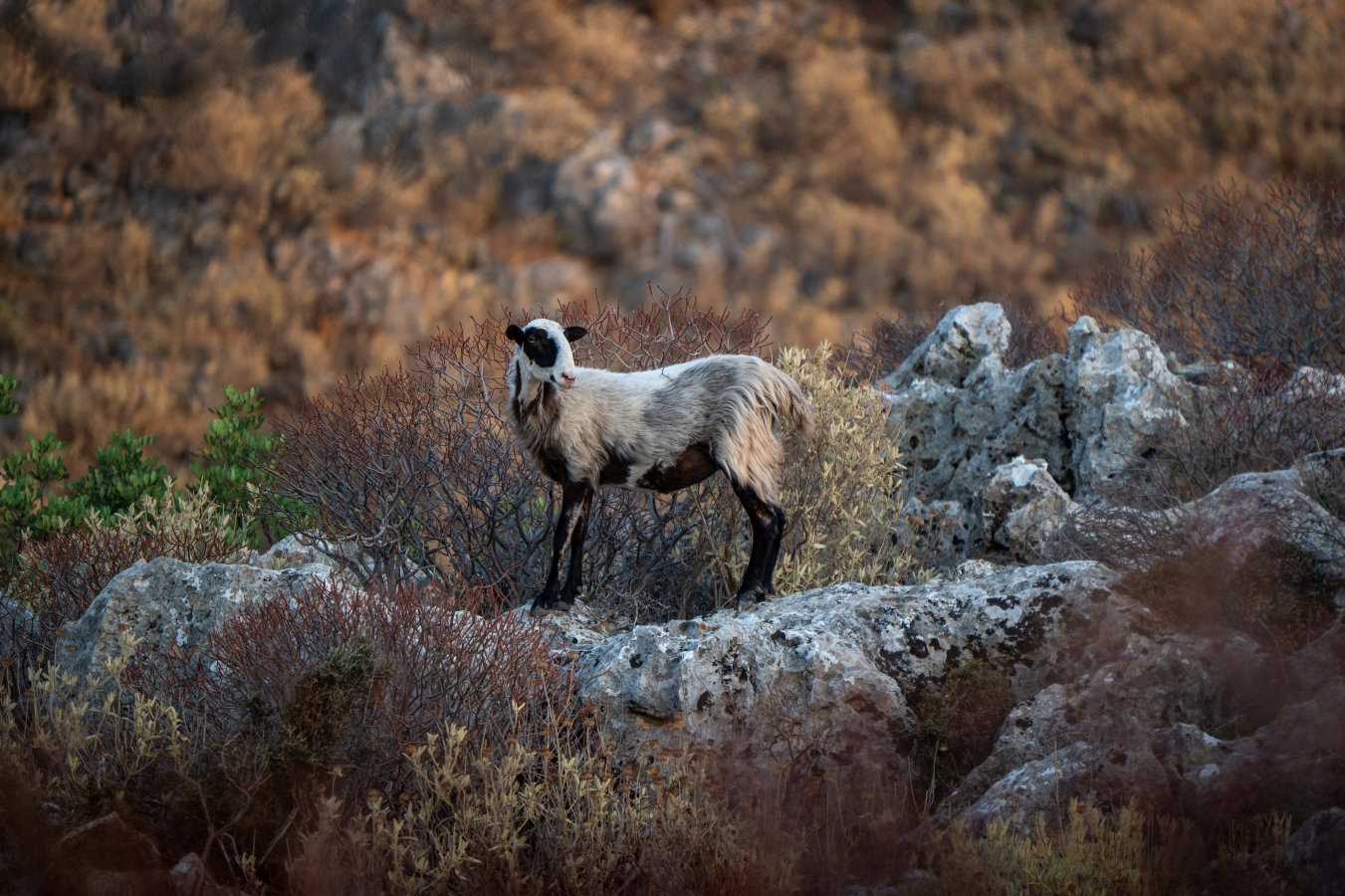 DSC_2588.jpg DSC_2588.jpg