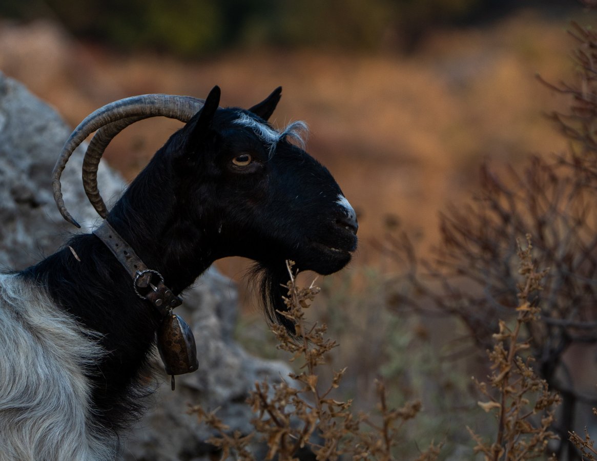 DSC_2552.jpg DSC_2552.jpg