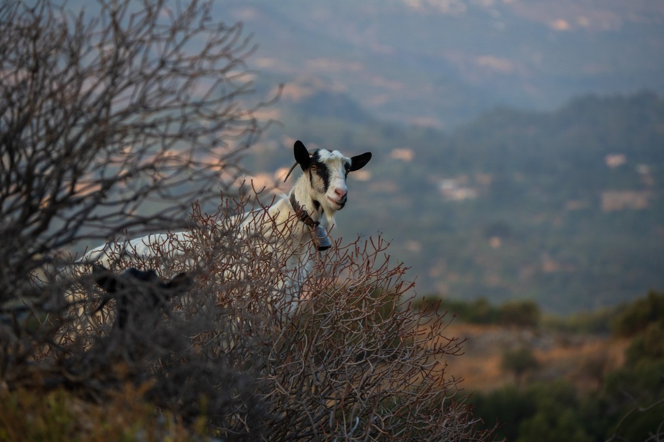 DSC_2543.jpg DSC_2543.jpg