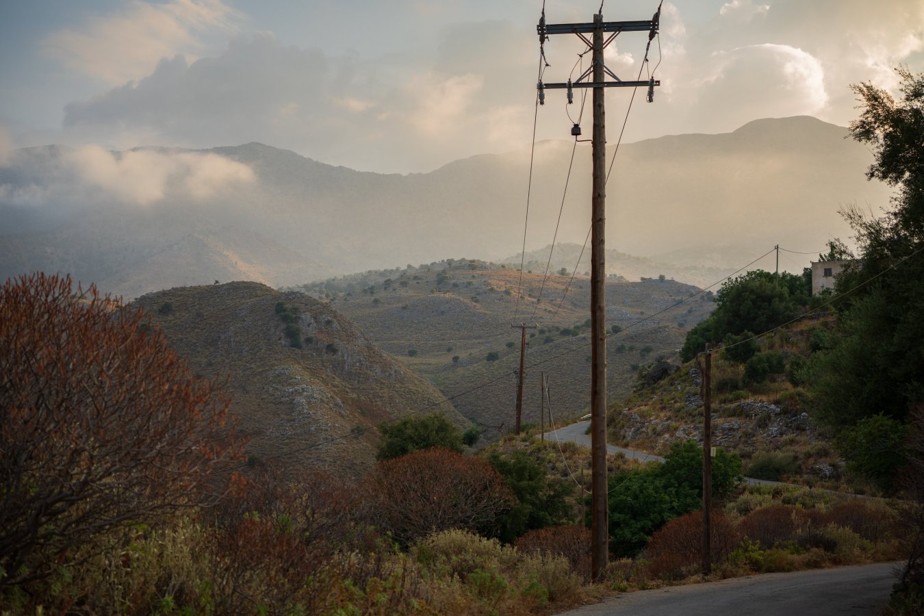 DSC_2339.jpg DSC_2339.jpg