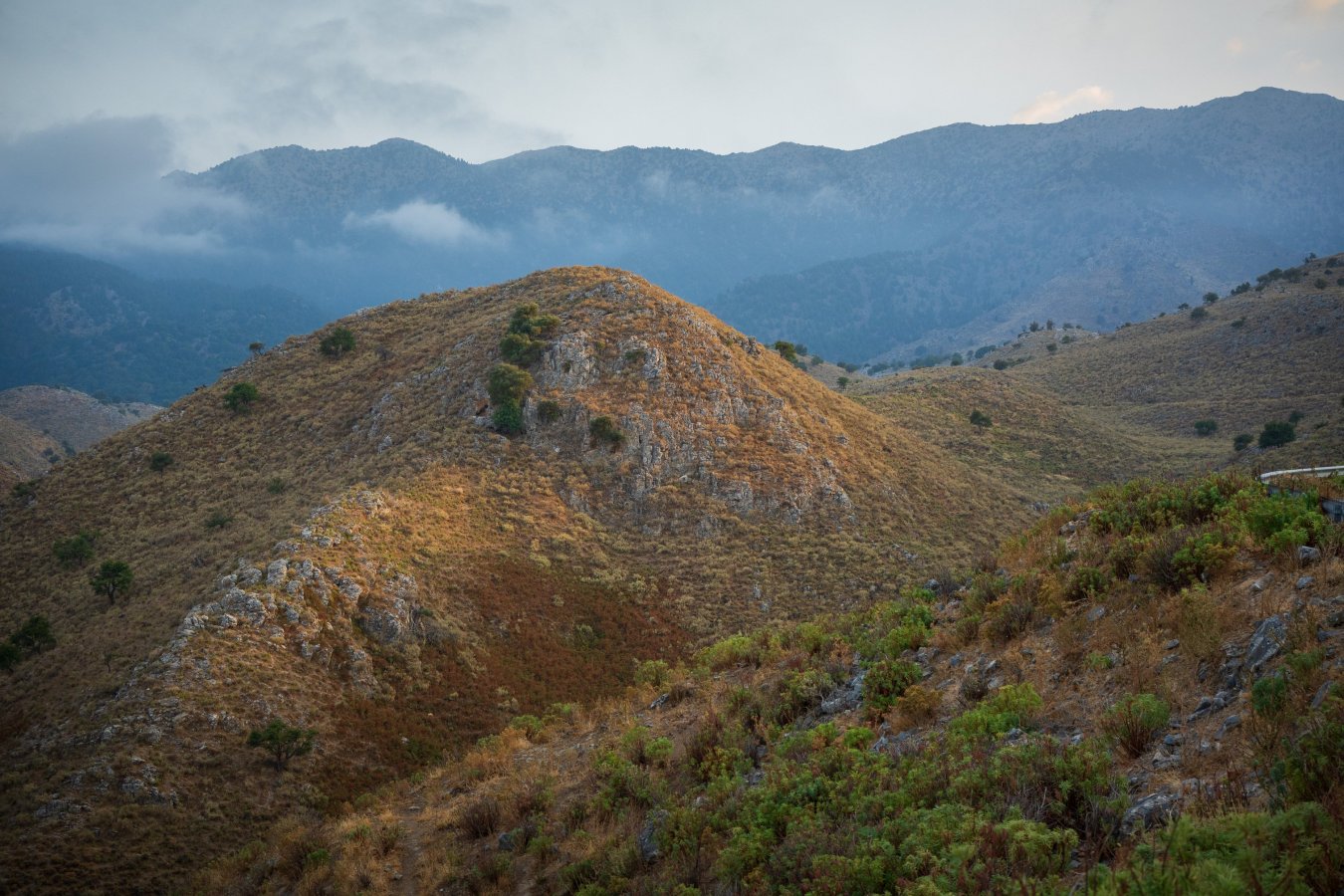 DSC_2453.jpg DSC_2453.jpg