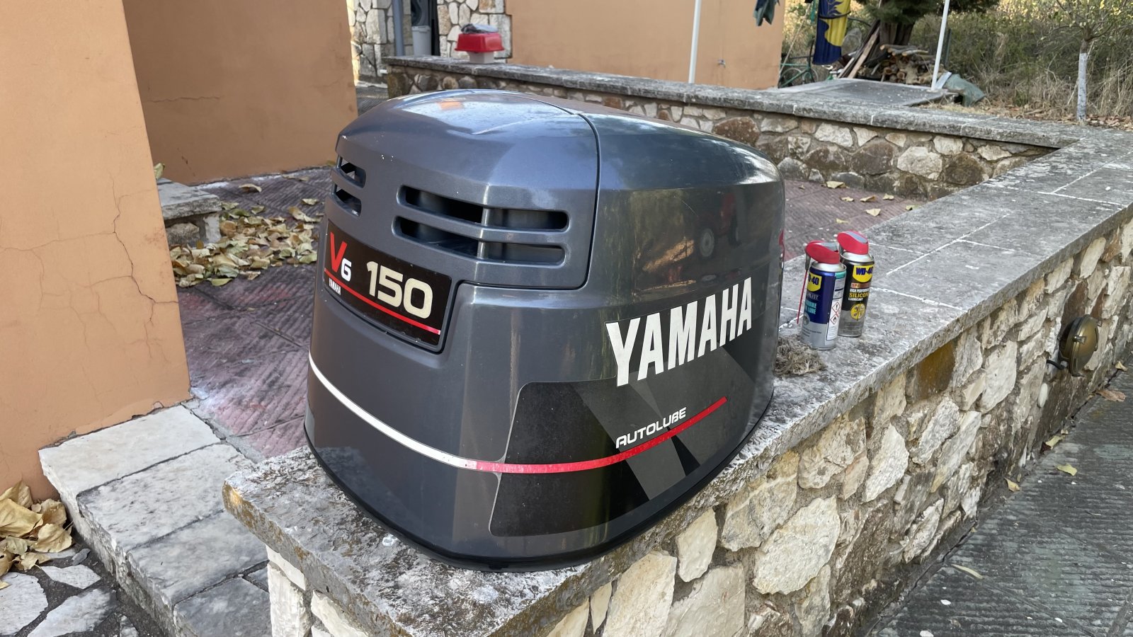 IMG_2248.jpeg IMG_2248.jpeg