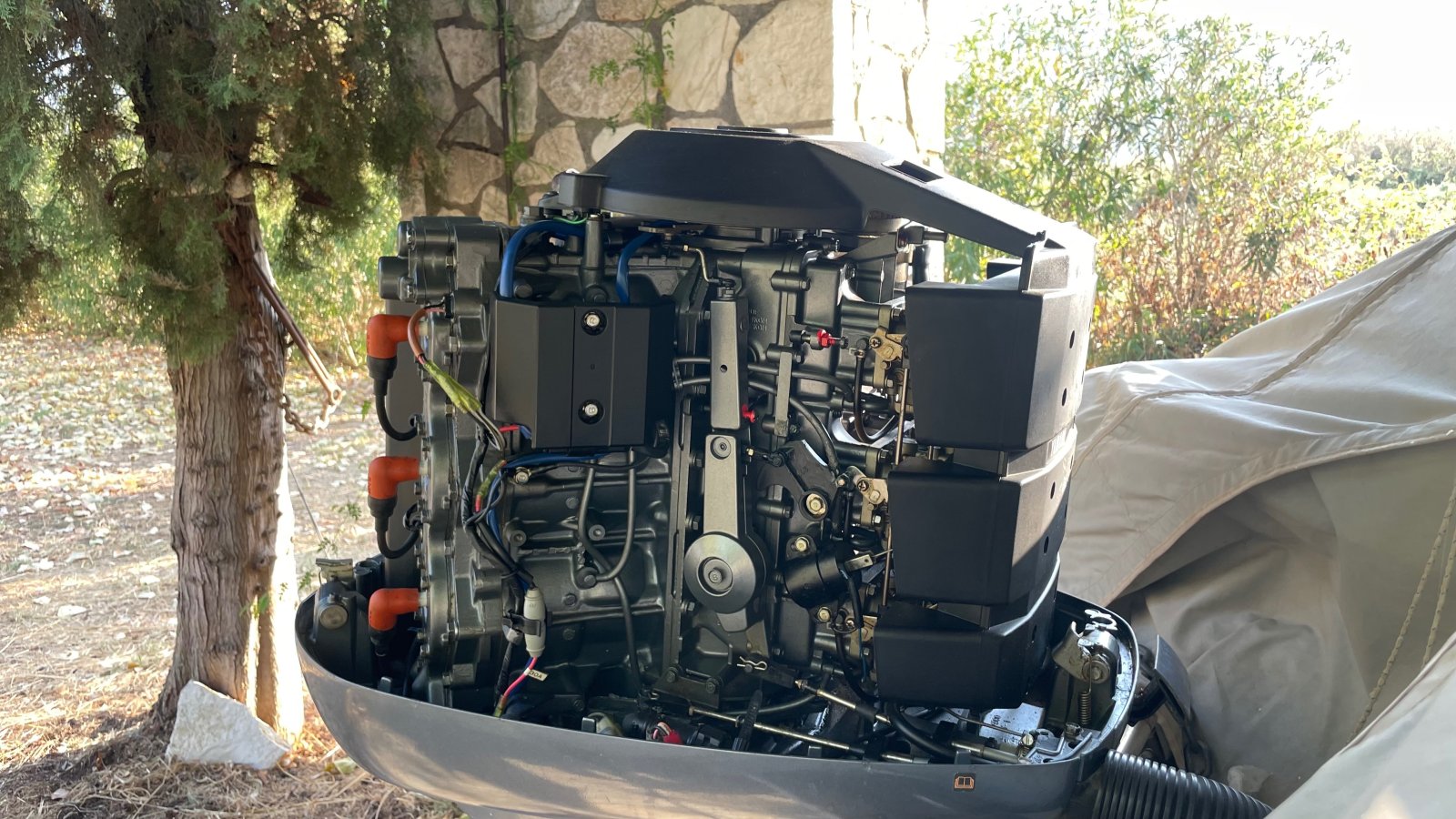 IMG_2249.jpeg IMG_2249.jpeg