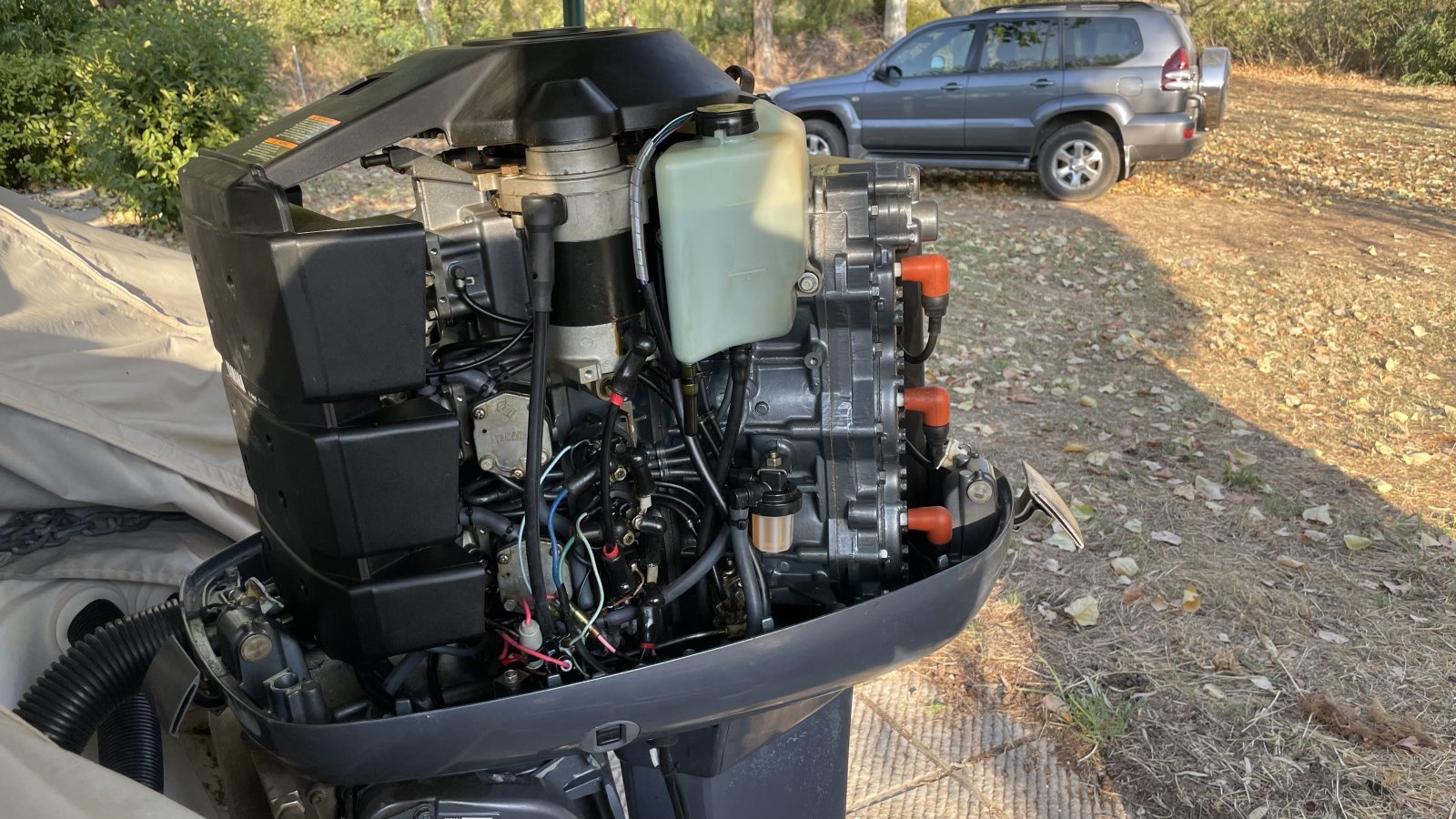 IMG_2250.jpeg IMG_2250.jpeg