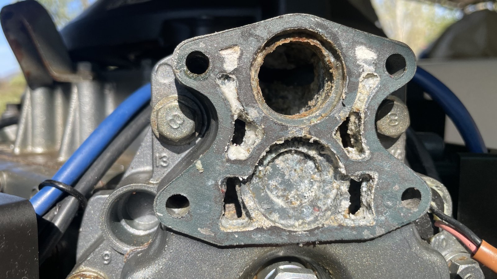 IMG_2258.jpeg IMG_2258.jpeg