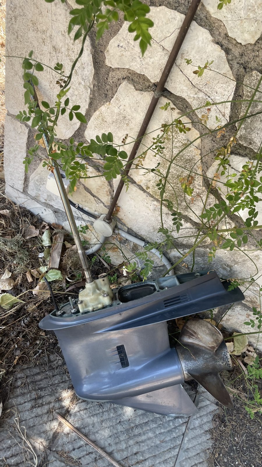 IMG_2261.jpeg IMG_2261.jpeg