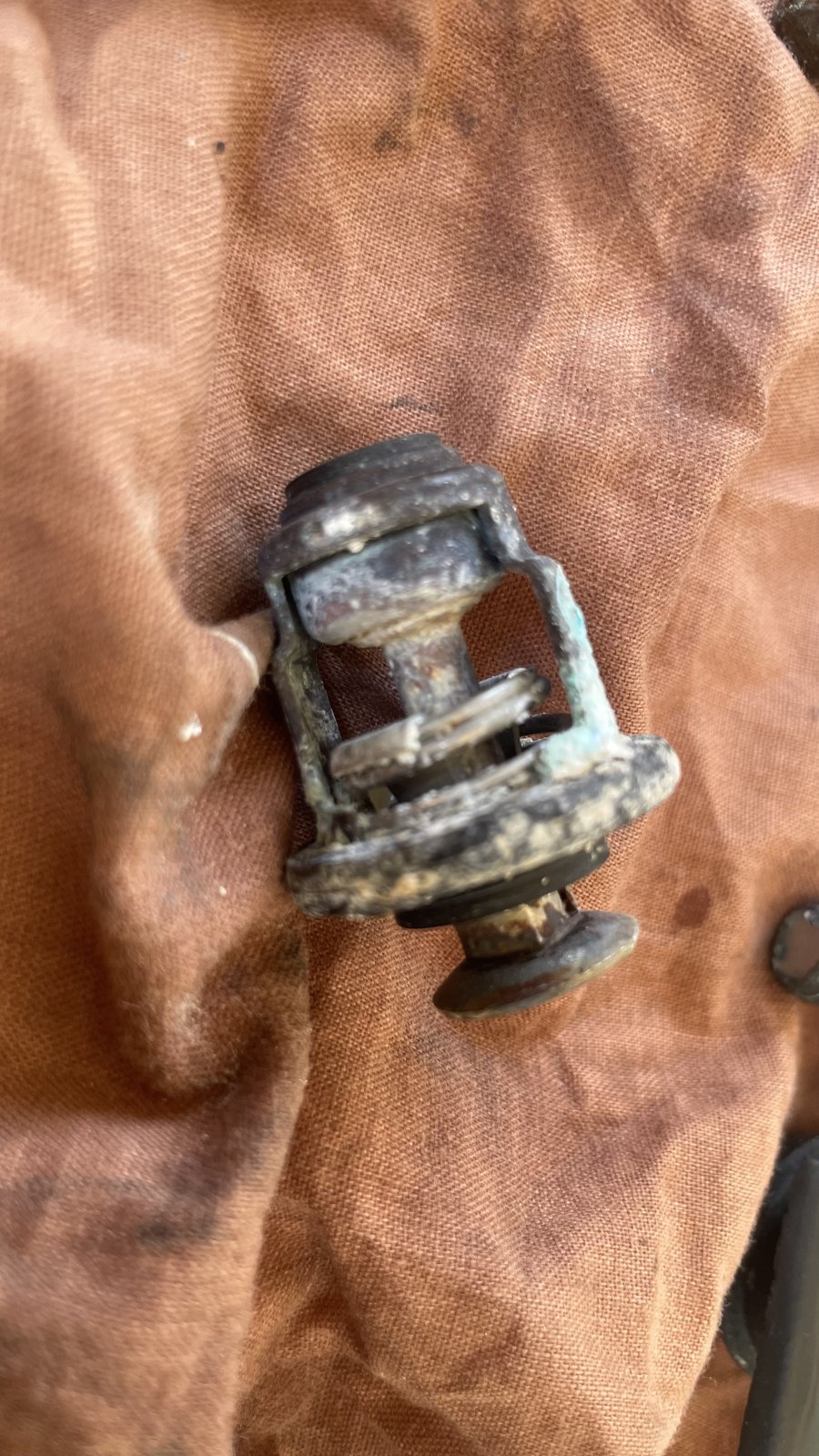 IMG_2264.jpeg IMG_2264.jpeg