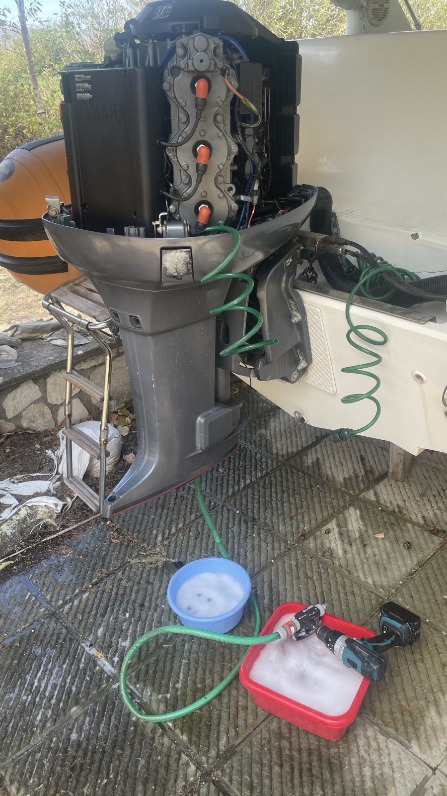 IMG_2265.jpeg IMG_2265.jpeg