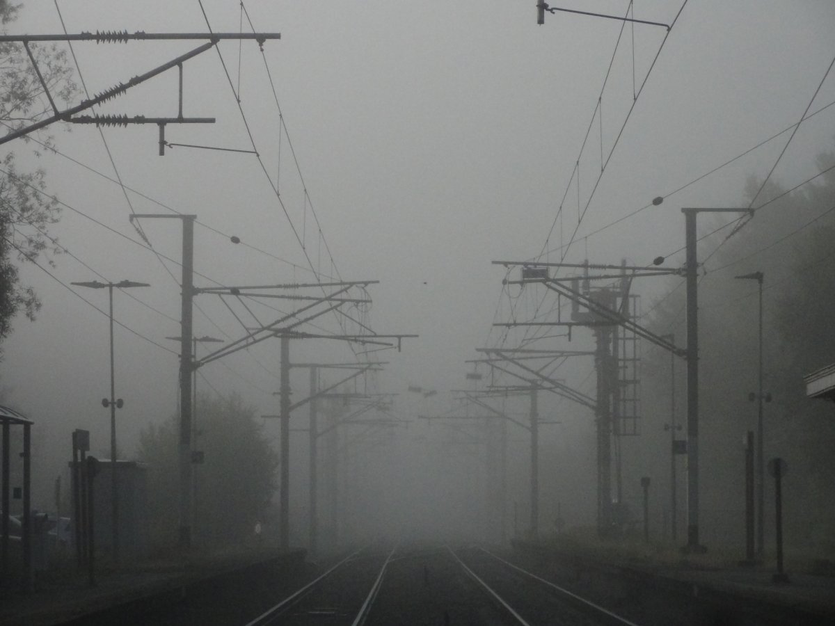 DSC07586.JPG DSC07586.JPG