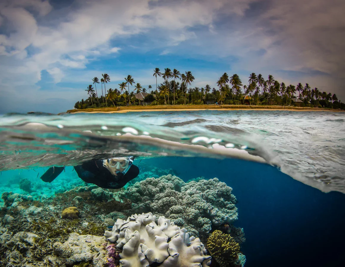 IMG_3652-2-X3.webp IMG_3652-2-X3.webp