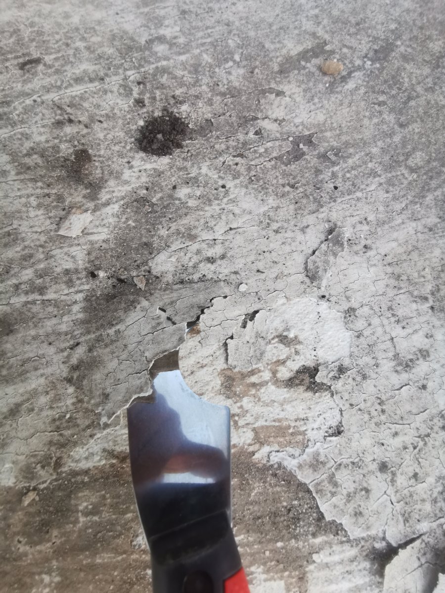 IMG_20250826_194644.jpg IMG_20250826_194644.jpg